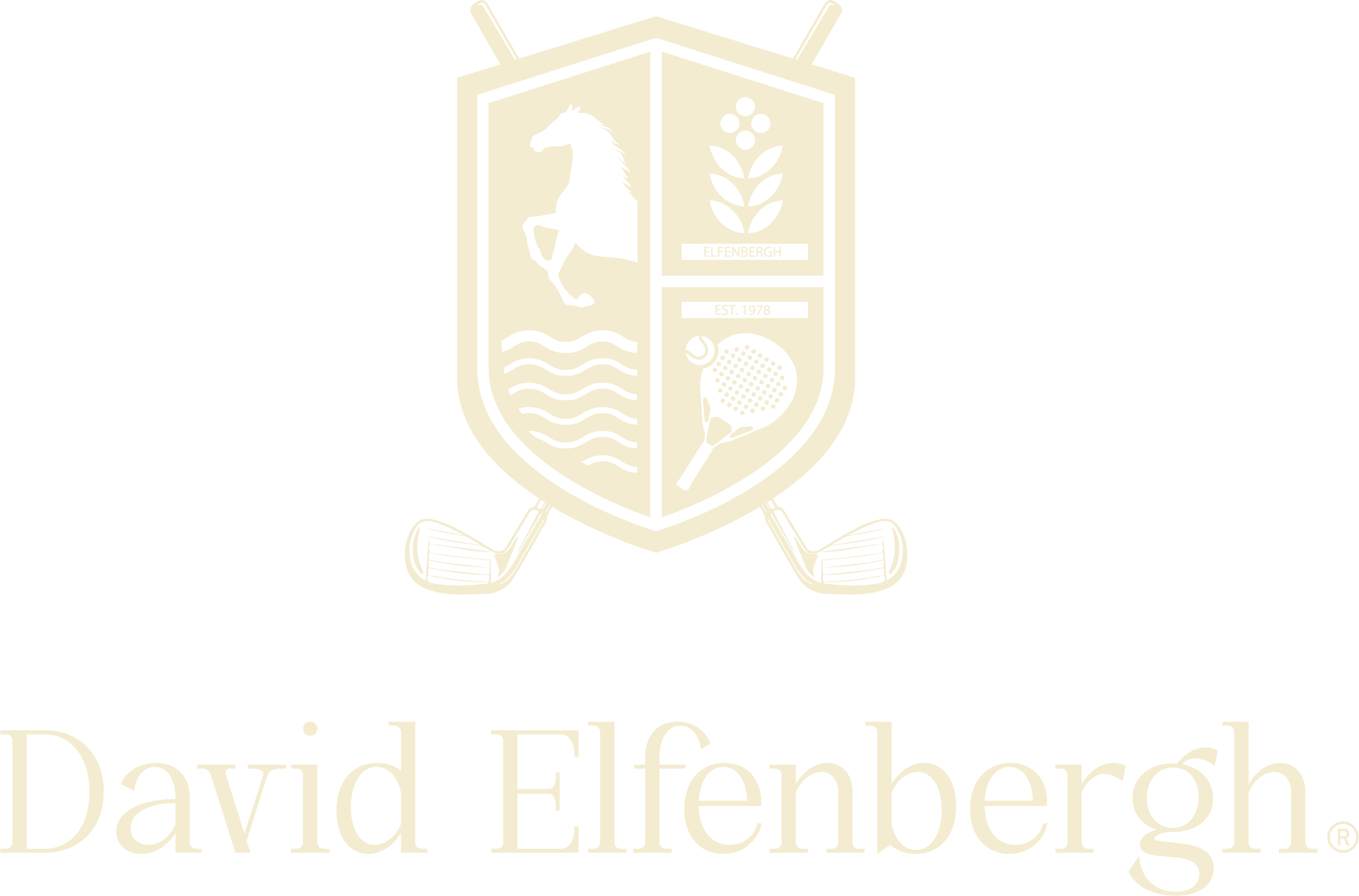 David Elfenbergh