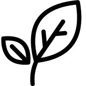 high-quality merino fabric by Elfenbergh